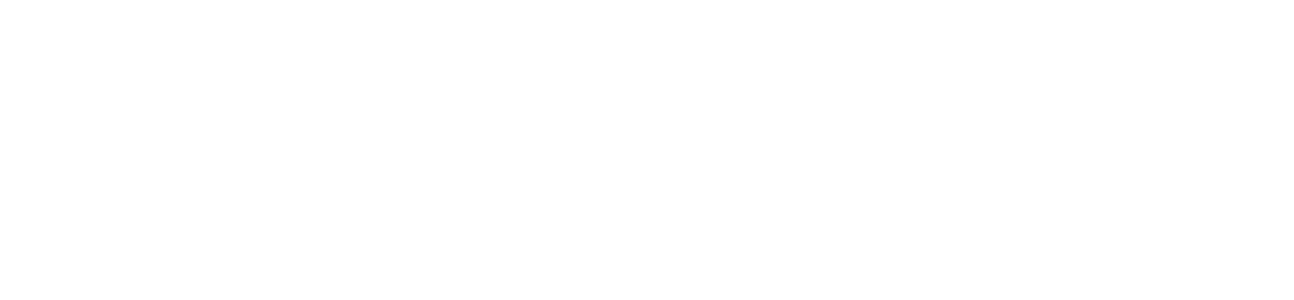 Logo2